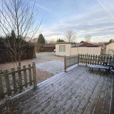 Gezellige Chalet In Bosrijke Omgeving Villa Anloo Eksteriør billede