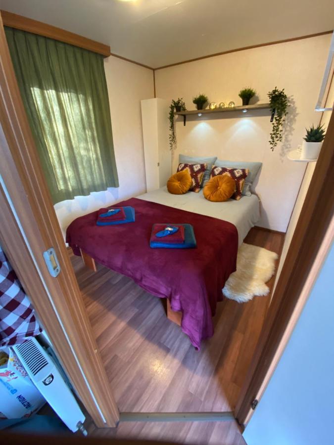 Gezellige Chalet In Bosrijke Omgeving Villa Anloo Eksteriør billede